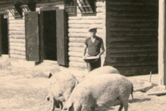 img019