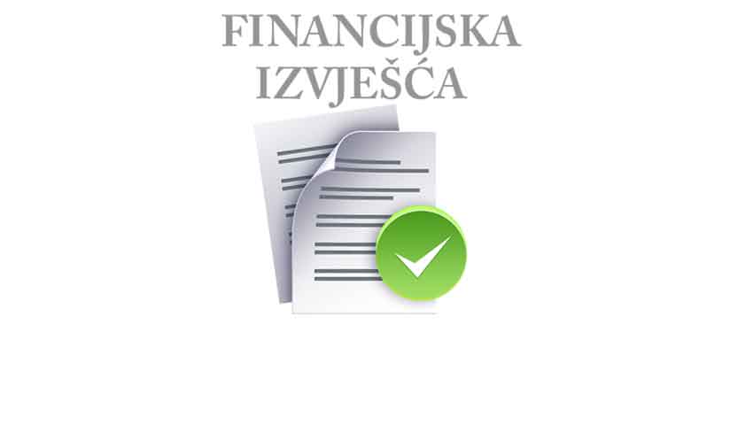 Financijska izvješća Doma Ljeskovica